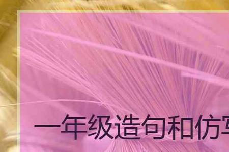 到底造句短句