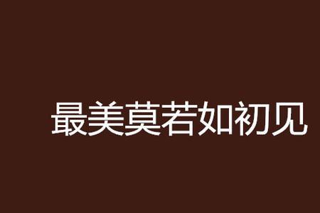 如若初见何须多言什么意思