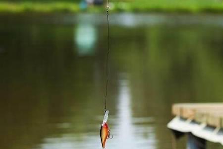 海竿卧着灵敏还是立着