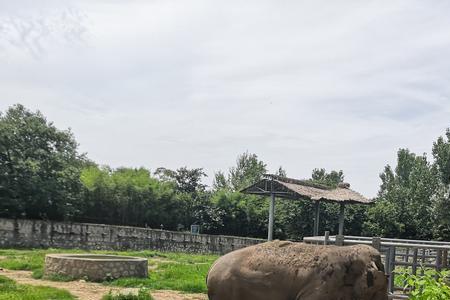 2021年秦岭野生动物园医护有优惠吗