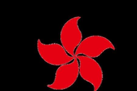 旅游卫士的意思