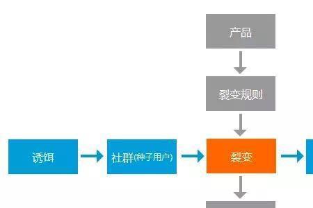 人的一生细胞会多少次裂变