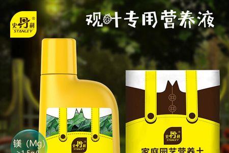 翠兰和龙须铁的区别