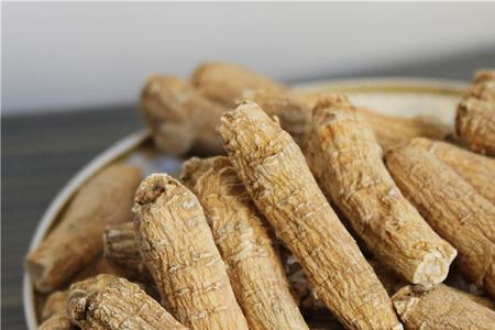 老参是什么意思