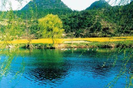 金翠湖怎么样