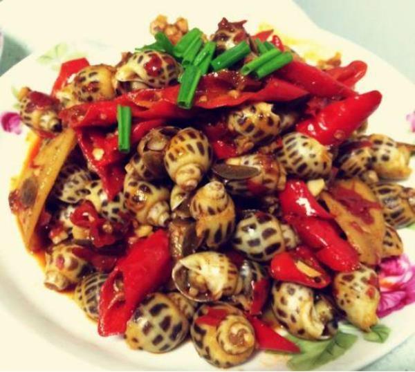 花螺喂食量过大会影响吗