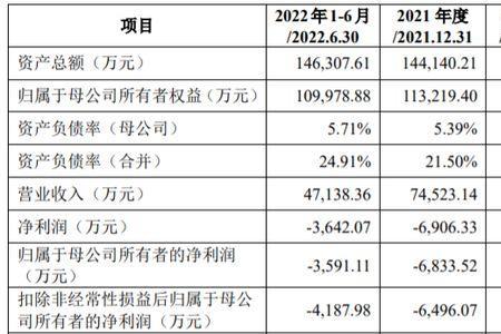 营收主体是什么意思