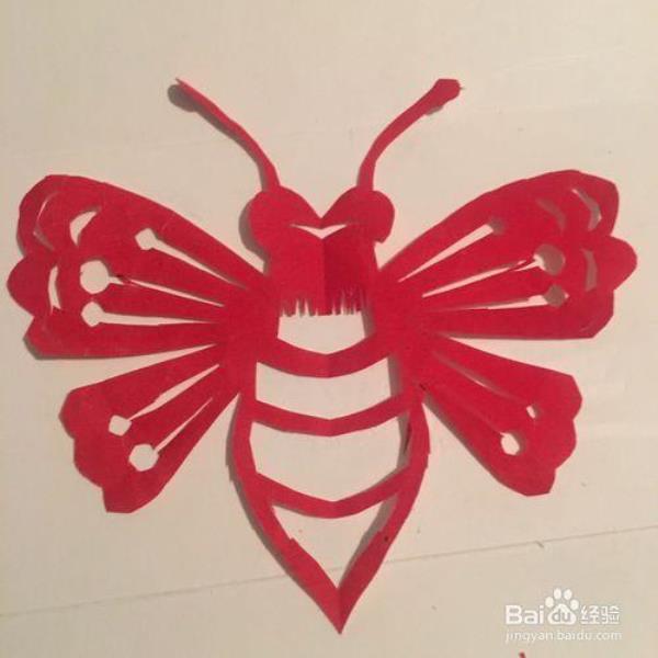蜜蜂是轴对称图形吗