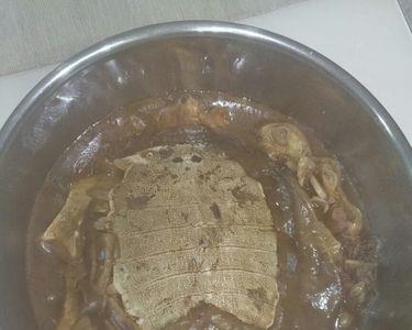 为啥甲鱼焯水过后裙边就烂了呢