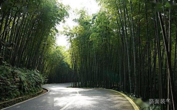 板油路和水泥路各有什么优缺点
