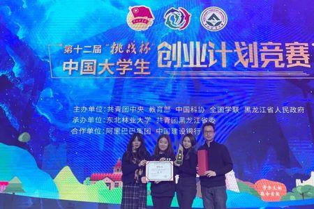 挑战杯一组一般几个人参加