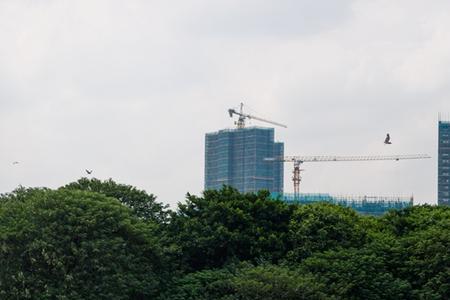 湖涌属于绿岛湖吗