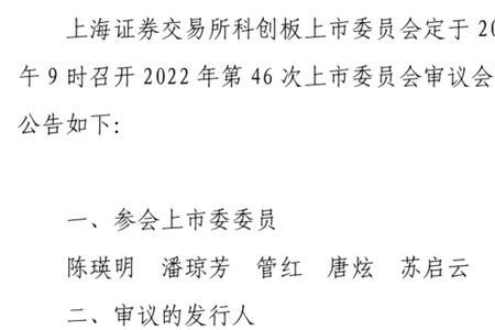 萤石网络上市进展