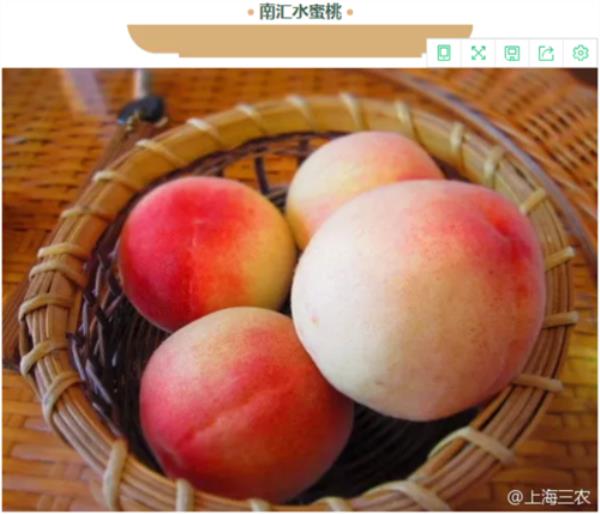 保质期最长的农产品