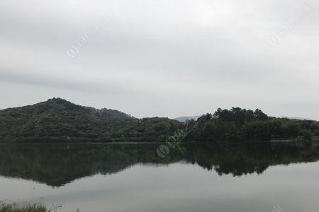 满山冲水库可以钓鱼吗