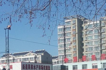 淄博最大调料批发市场