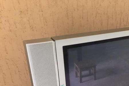 彩电世界第一是谁