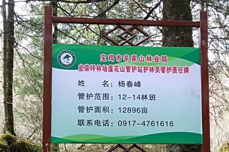 封山育林技术规程