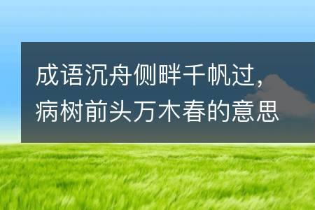 木春是什么意思