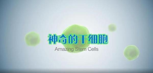 人类细胞最普遍的增殖方式是(