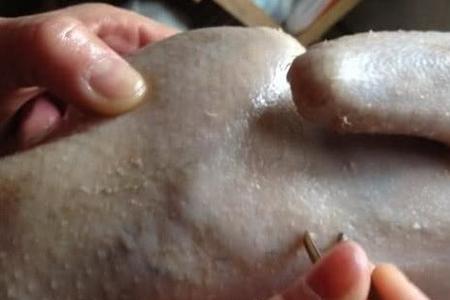鸭子掉毛怎么补救最快
