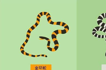 蜀智没有八门和杯蛇用什么代替