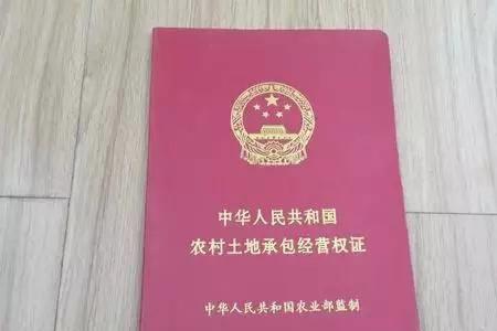 农村土地证网上查询系统