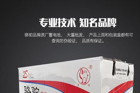 骆驼牌蓄电池国内500强排行榜