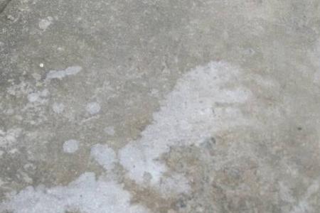 为什么过滤后的水有白色颗粒