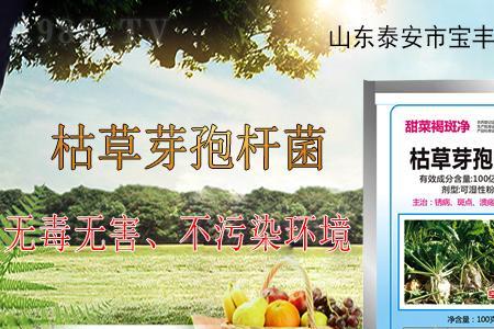 坚强芽孢杆菌可以灌根么
