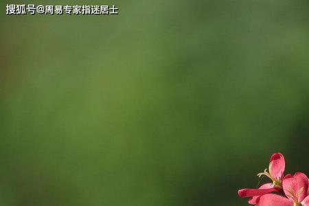 景色常在暖人心，指什么生肖