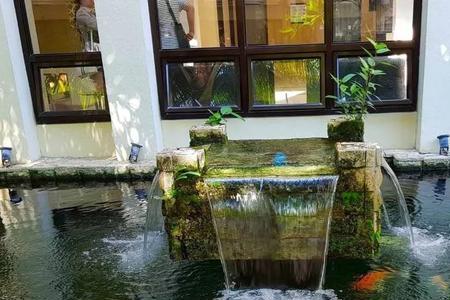 庭院鱼池多深可以过冬