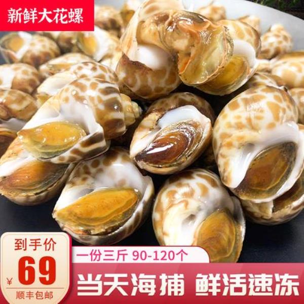 花螺肉不回缩是新鲜的吗