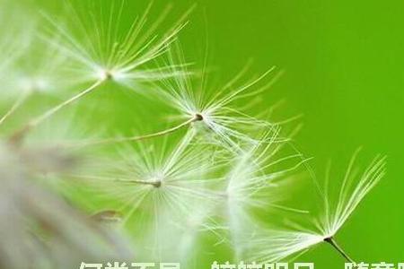 形容华而不实无功有禄的古诗