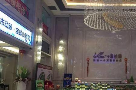 广宁有九龙4S店