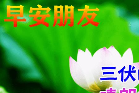 伏天出行祝福语