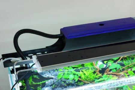 循环鱼缸抽水的那个水箱没水了