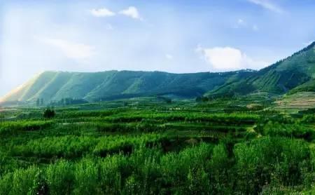 河南有少数民族自治县吗