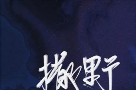 撒野里能写进毕业赠言的句子