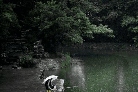 夏天下午下雨怎么钓鱼