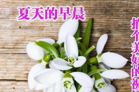 冬什么夏什么祝福语