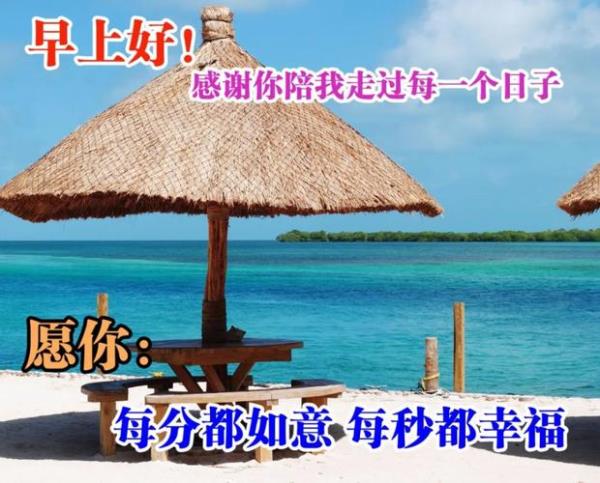 下午的撩人问候语