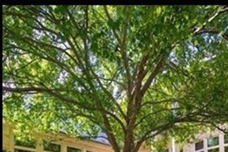 庭院鱼池怎么算水的吨位