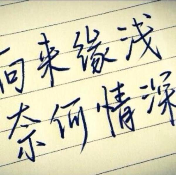 向来缘浅，何以情深什么意思