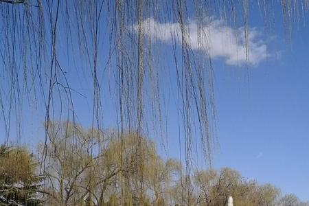 北京站至陶然亭公园公交