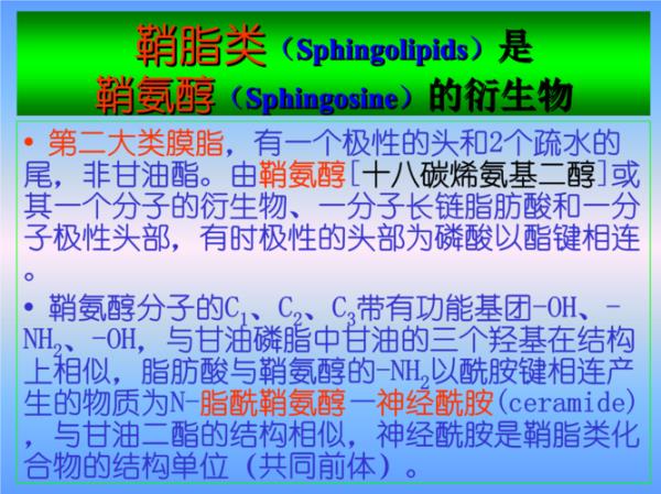 中性脂质和极性脂质的区别