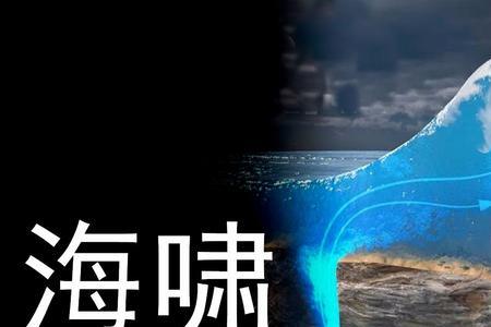 为什么能形成海啸式的舆论效果