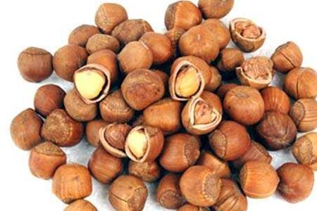 刚成熟的榛子能吃吗