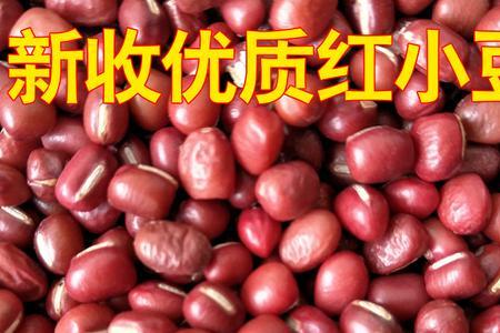 巴山豆煮多久