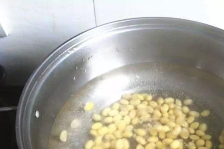 怎么用豆浆机打熟豆